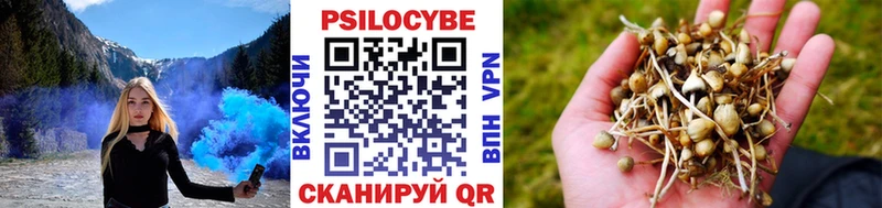 Псилоцибиновые грибы Psilocybine cubensis  mega   Болохово 